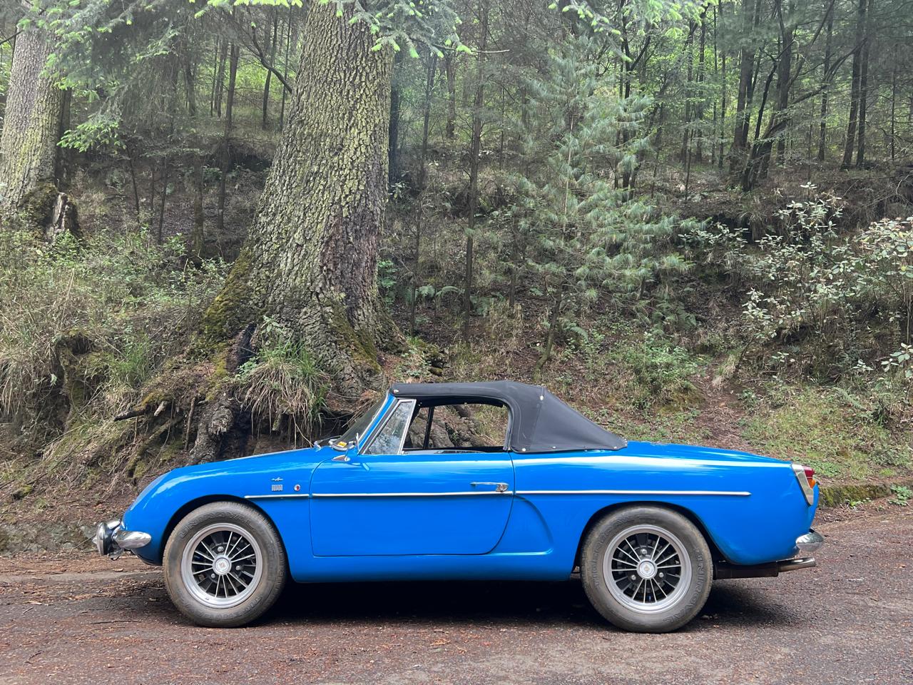Renault clásico azul en bosque — Club Renault Gordini Sport